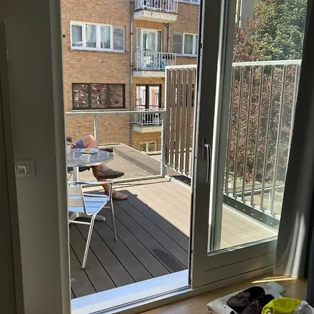 Renovated With Terrace South 헨트